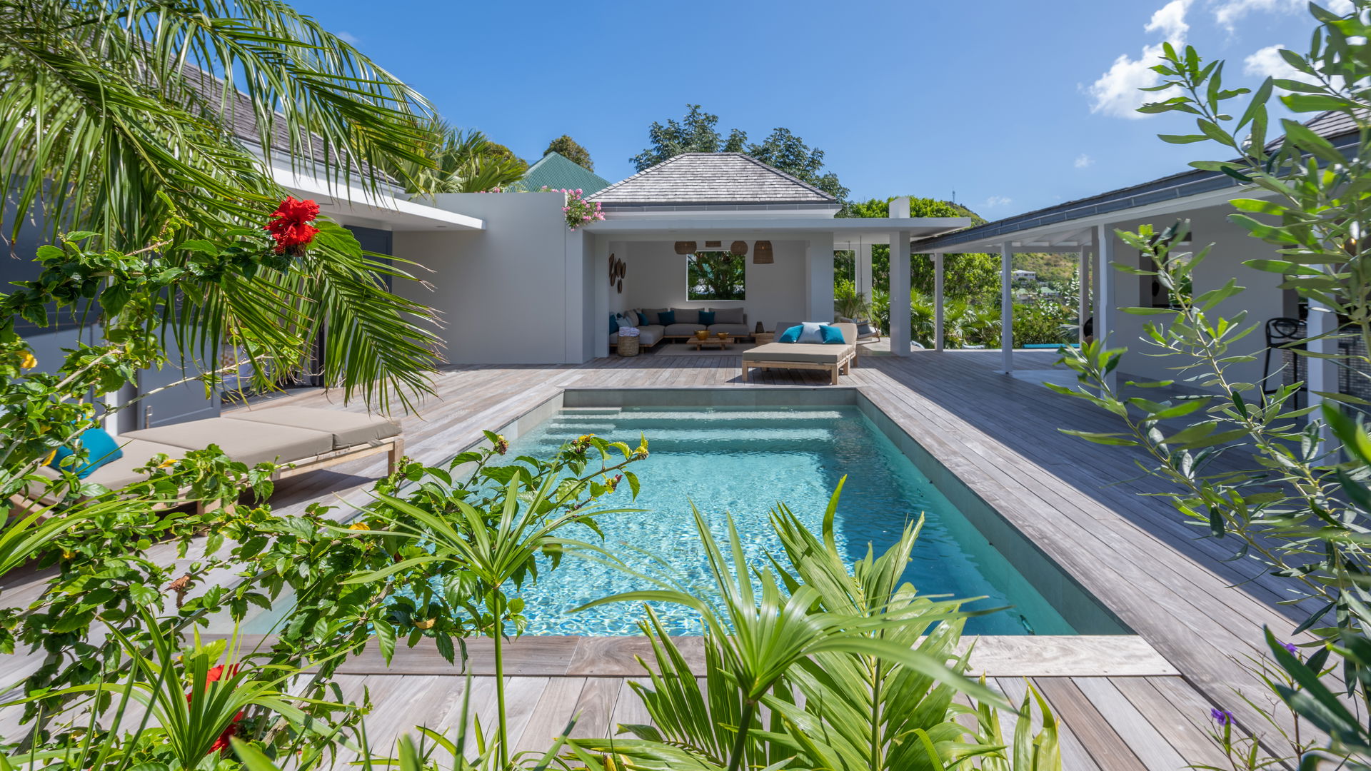 POOL & TERRACE