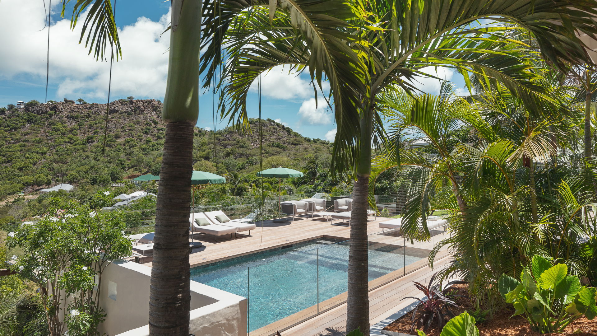 POOL & TERRACE