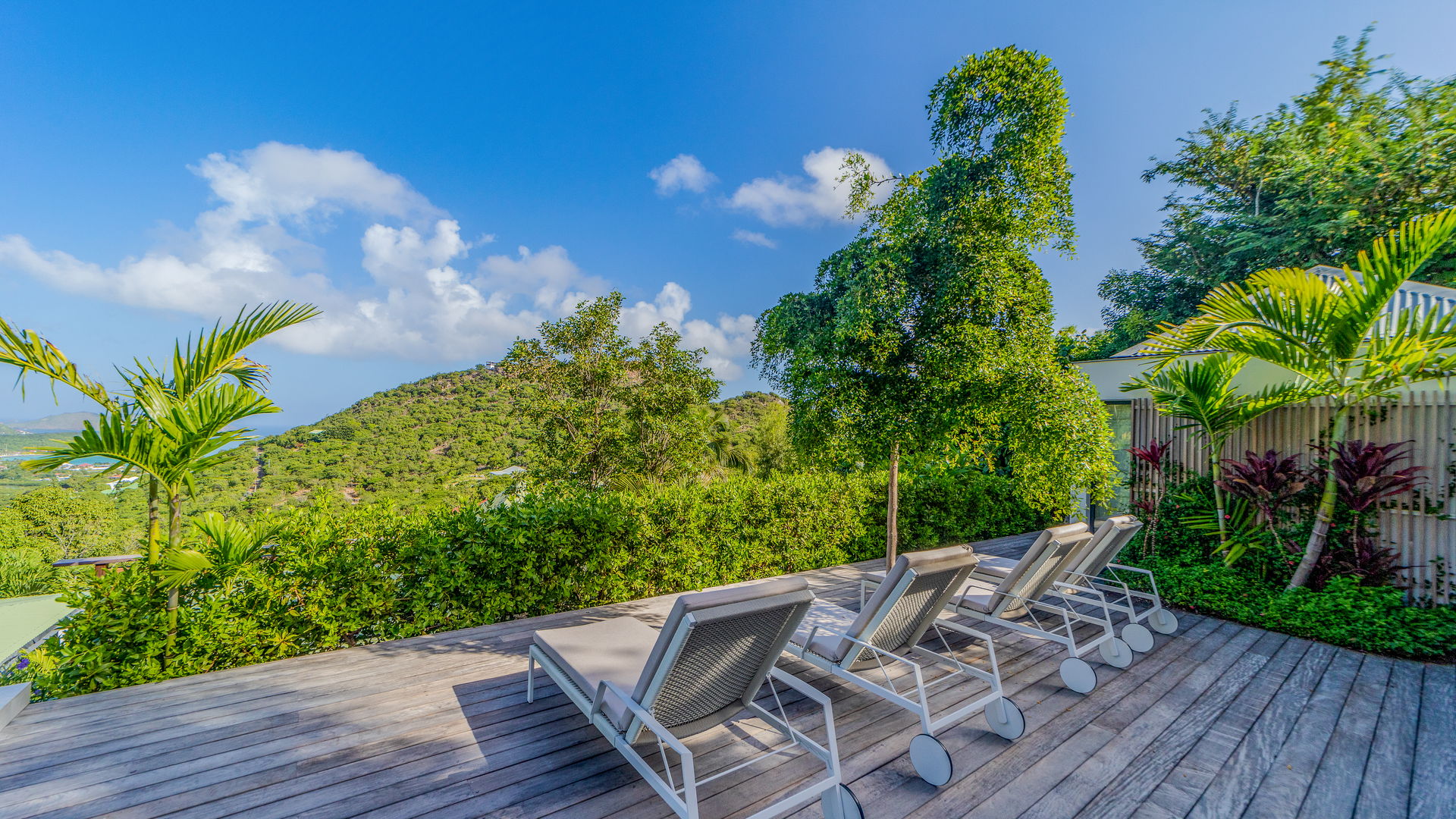 POOL & TERRACE