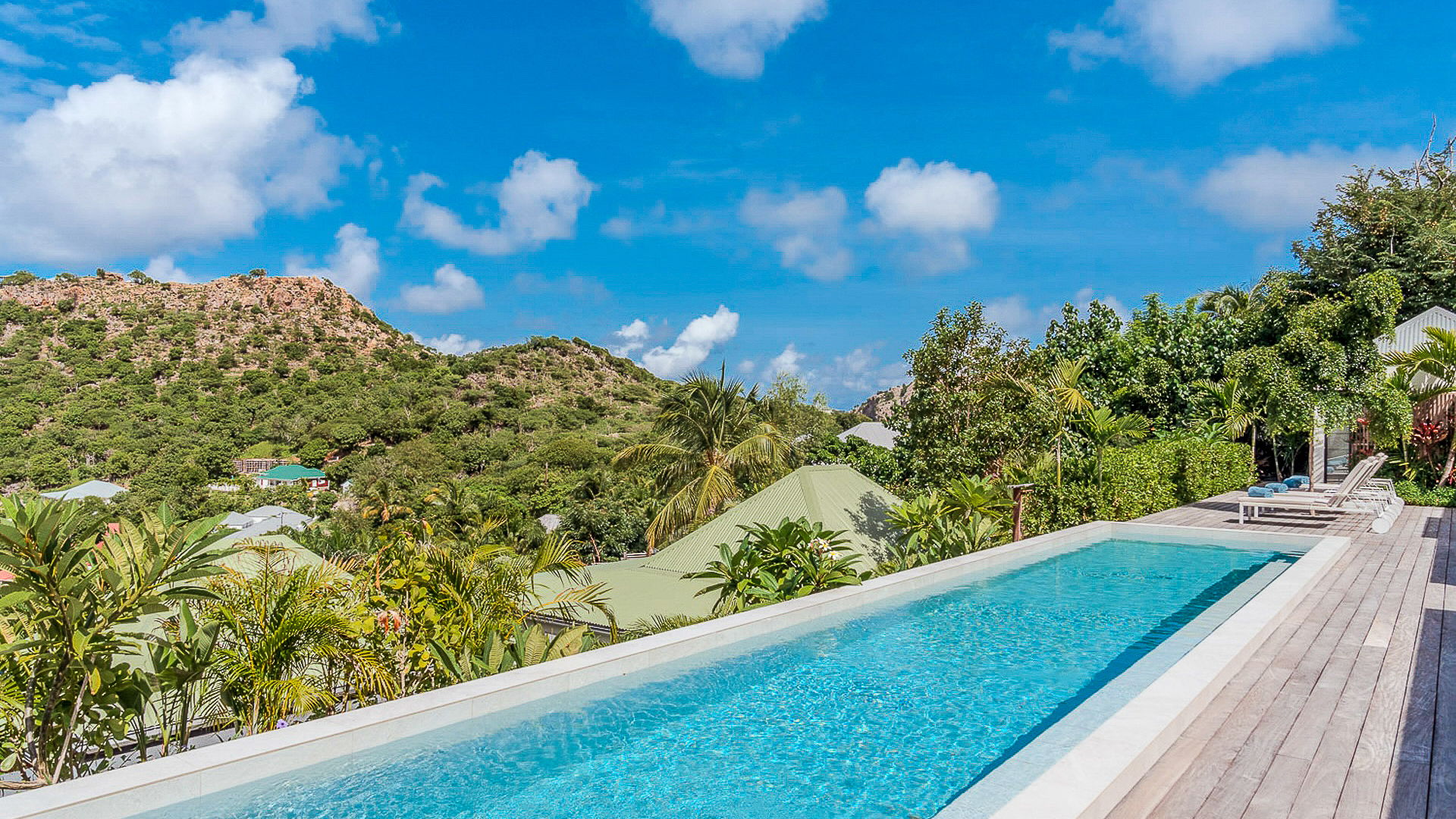 POOL & TERRACE