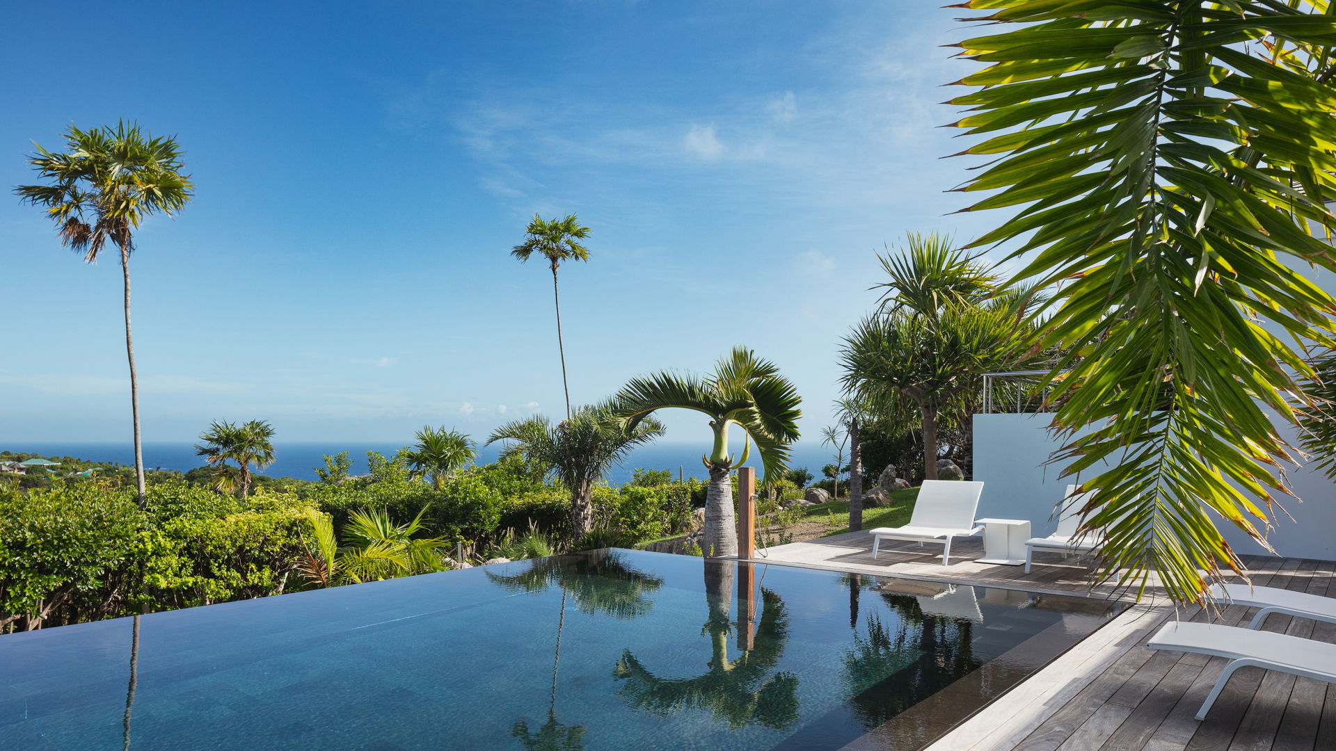 POOL & TERRACE