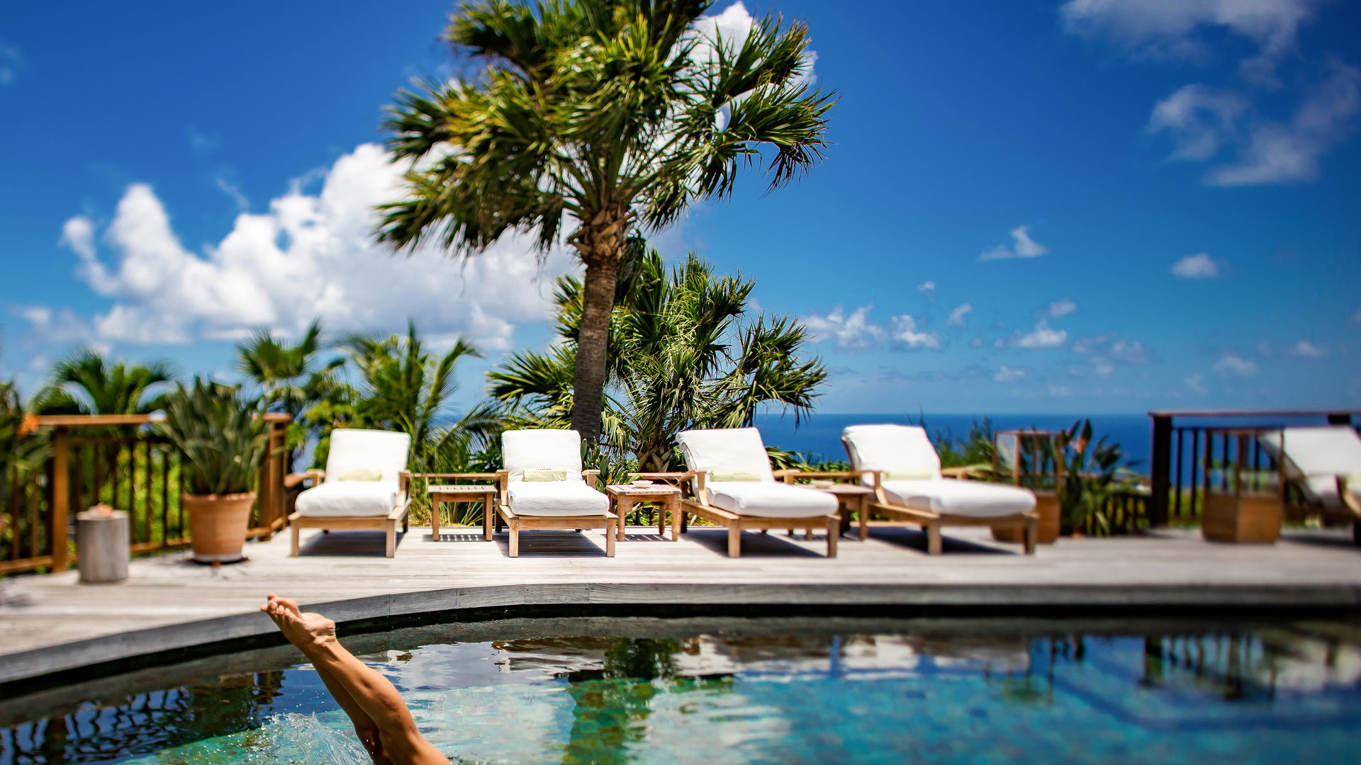 POOL & TERRACE