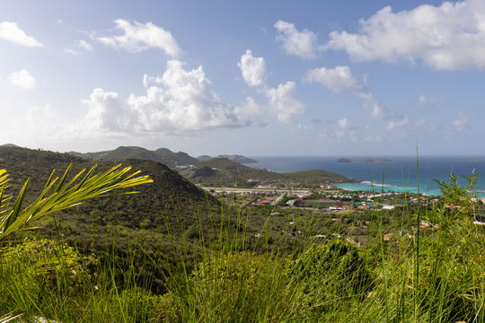 VILLA NEVER SAY NEVER BEDROOM2 12