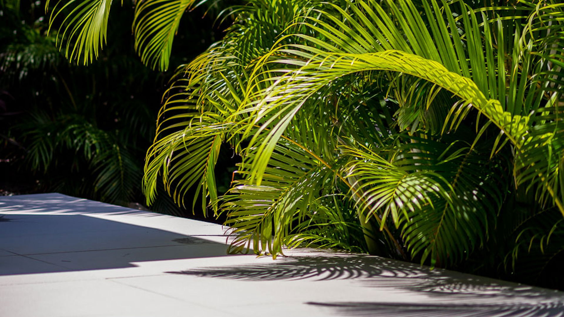 POOL & TERRACE