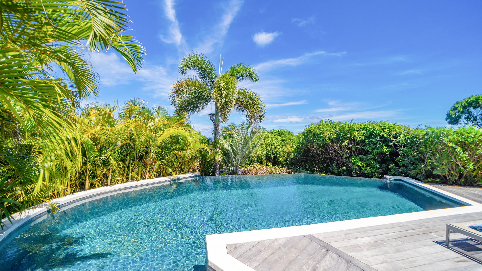 POOL & TERRACE