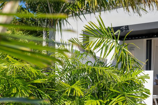 VILLA AMITIÉ BEDROOM5 5