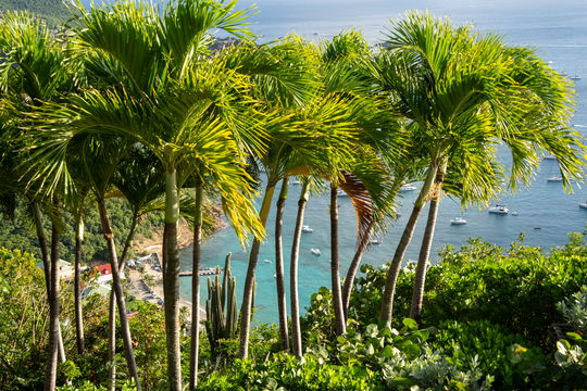 VILLA AHAVA OUTDOORS 5