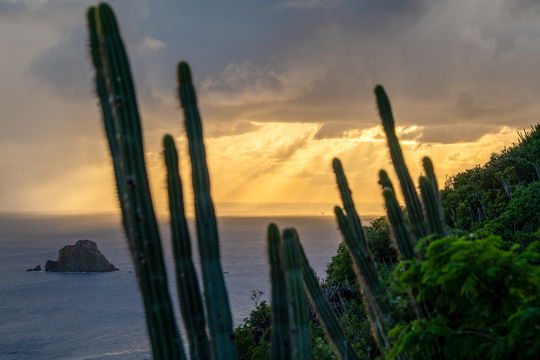 VILLA AHAVA OUTDOORS 6