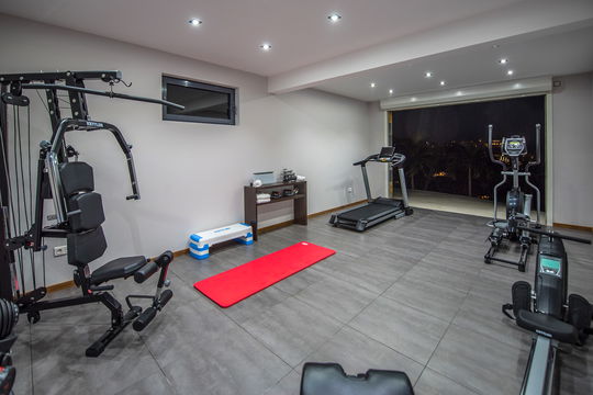 VILLA OPEN SPACE FITNESS ROOM 1