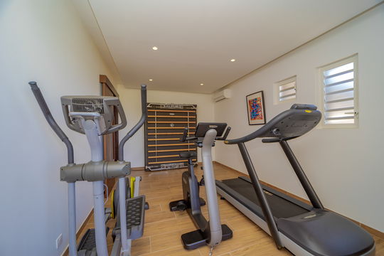 VILLA LENALEE FITNESS ROOM 1