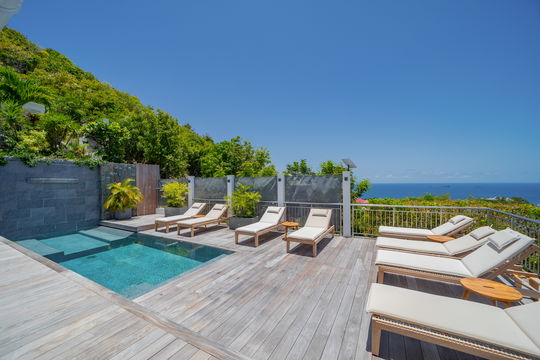 VILLA LENALEE POOL & TERRACE 1