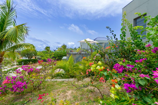 VILLA LAGON VERT OUTDOORS 3