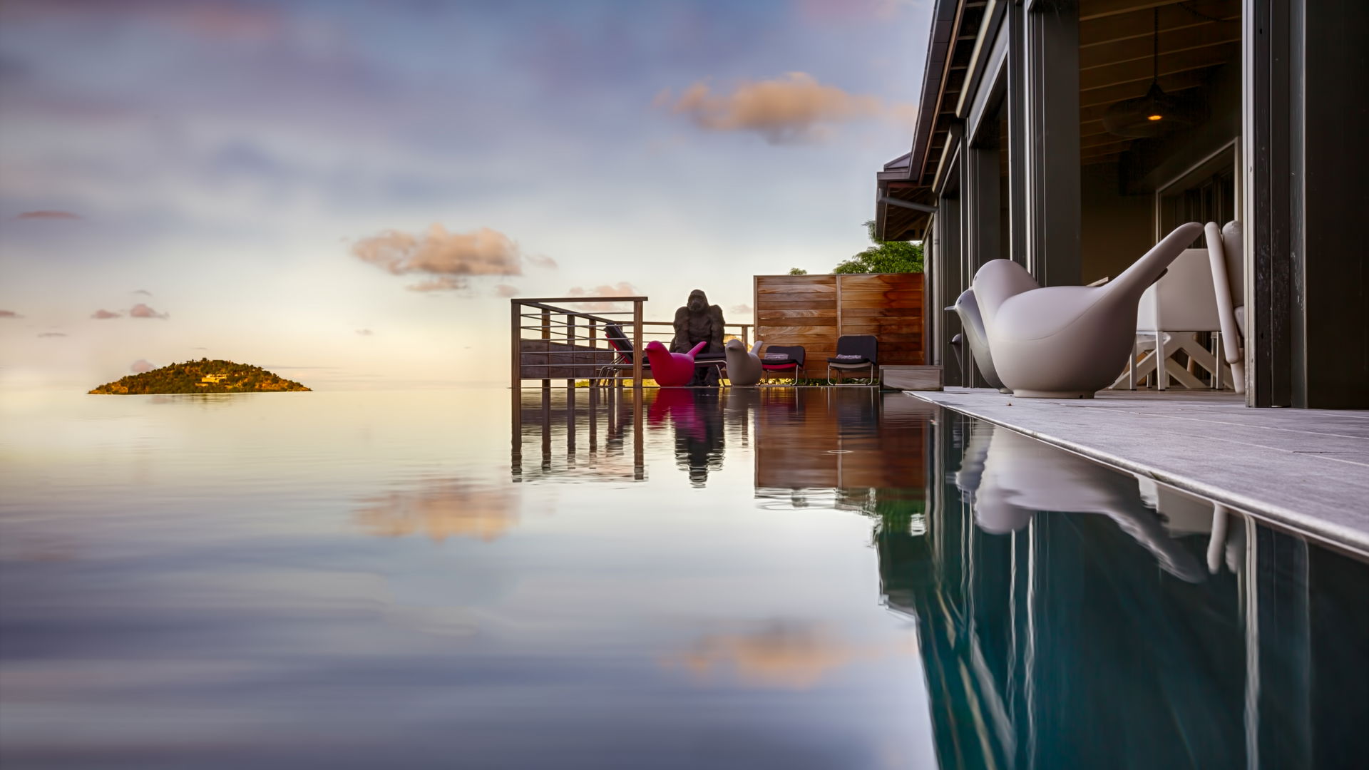POOL & TERRACE