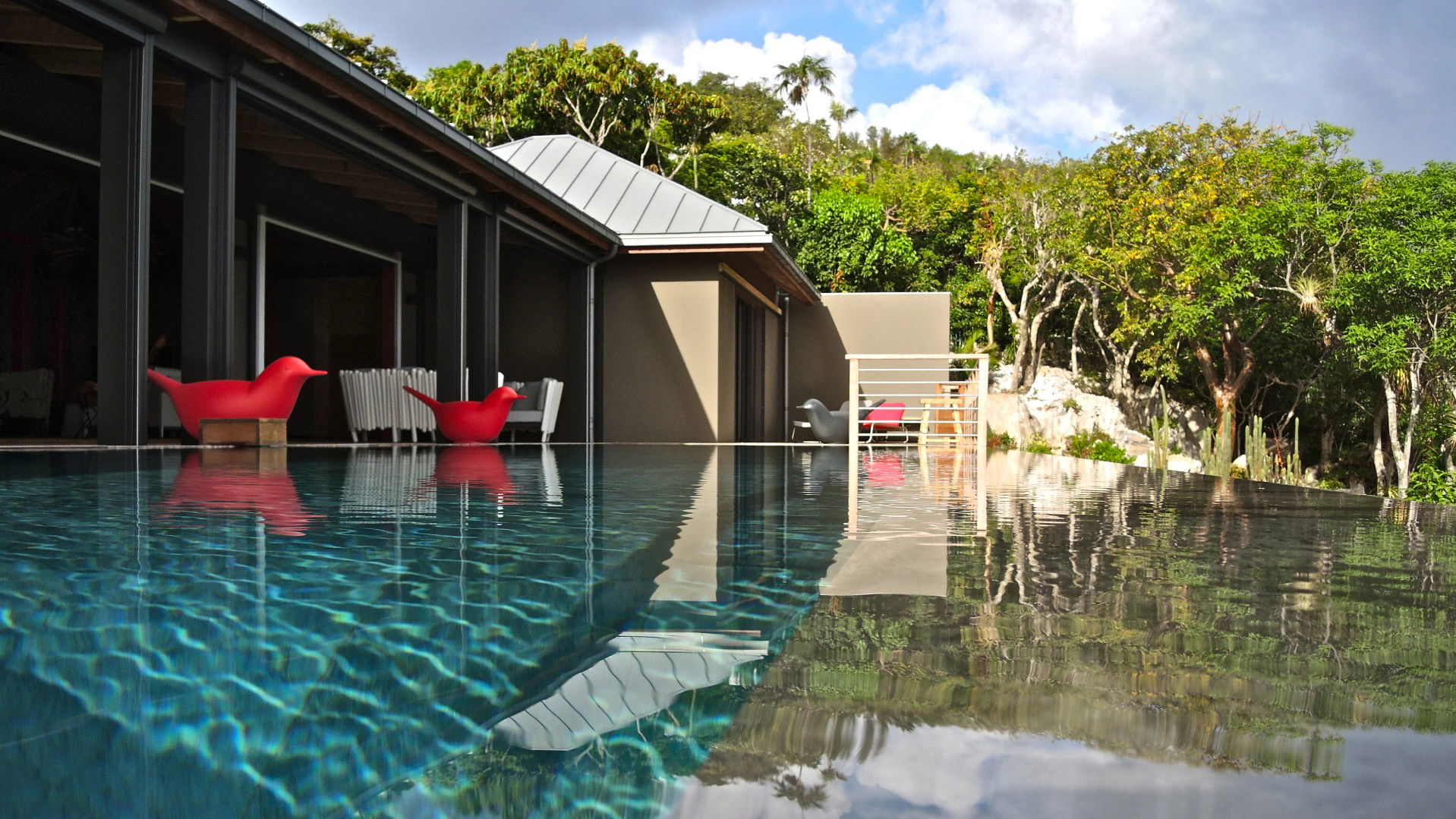 POOL & TERRACE