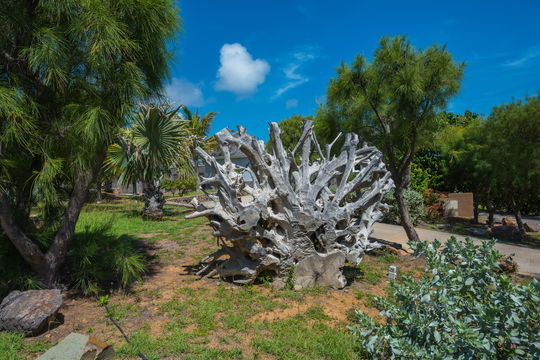 VILLA LAGON BLEU OUTDOORS 7