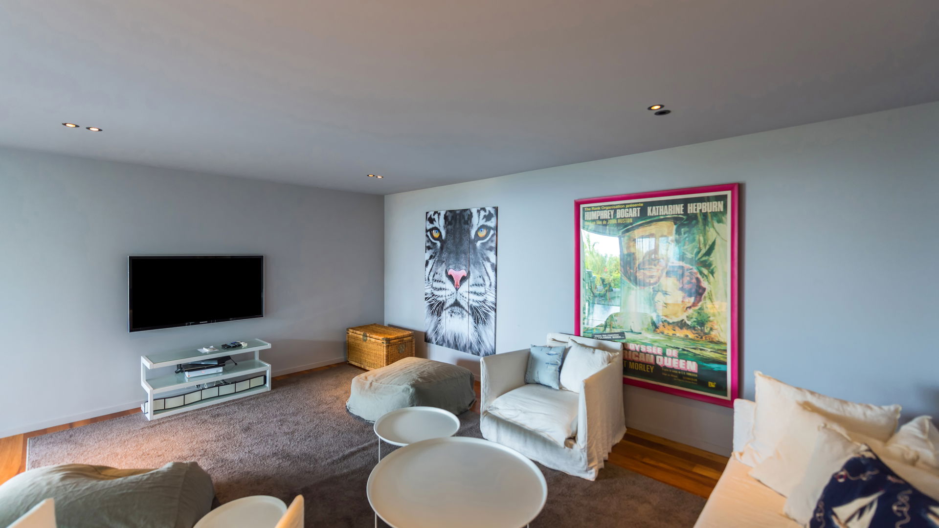 MEDIA ROOM