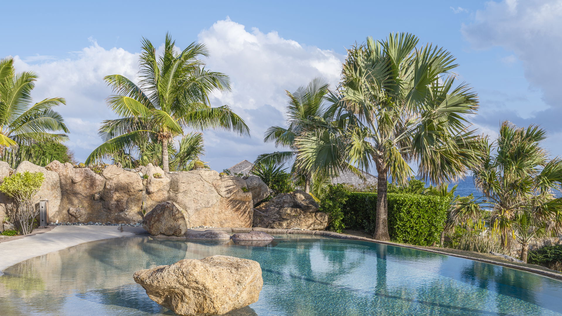 POOL & TERRACE