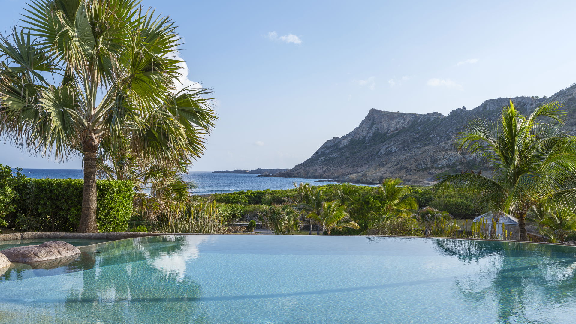POOL & TERRACE