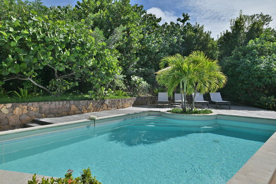 VILLA LES CAZES POOL & TERRACE 1