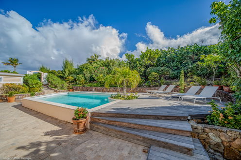 VILLA LES CAZES POOL & TERRACE 11