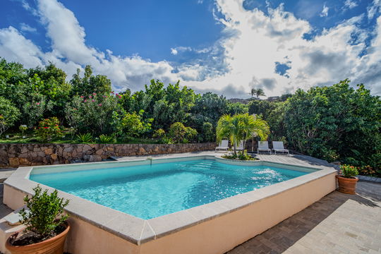 VILLA LES CAZES POOL & TERRACE 2