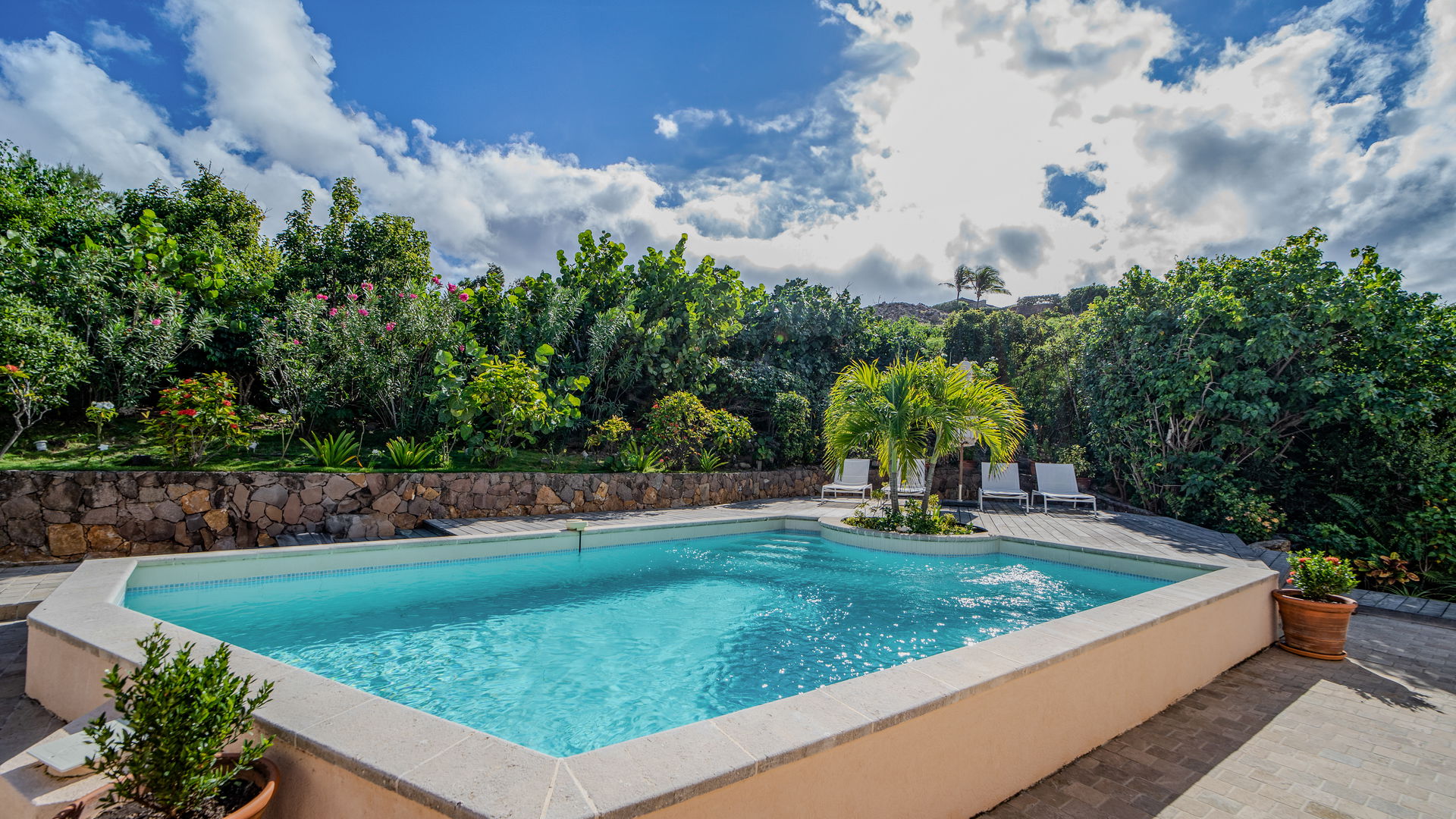 POOL & TERRACE