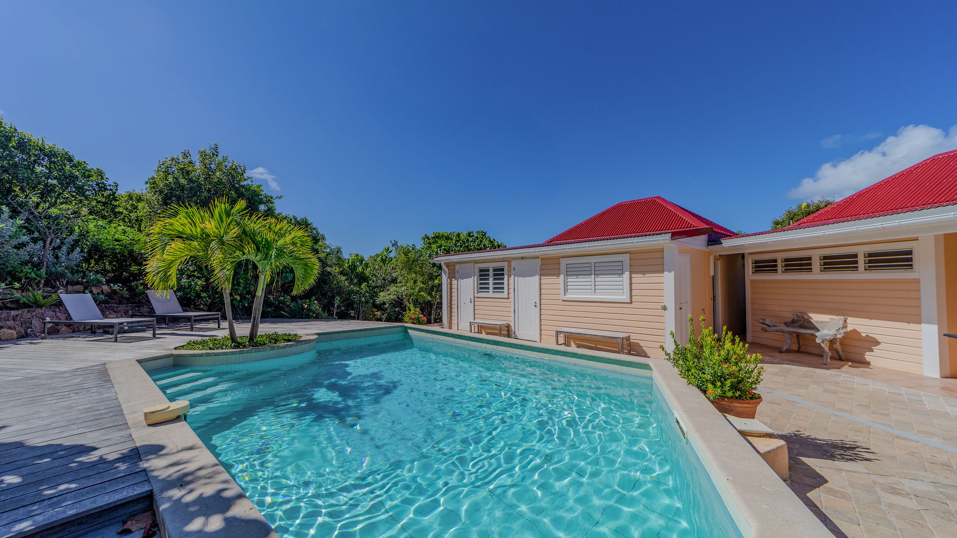 POOL & TERRACE