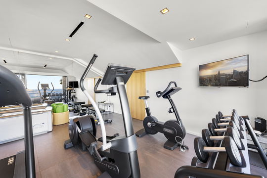 VILLA GRACE FITNESS AREA 3