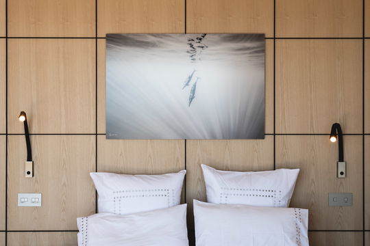 VILLA IRIS BEDROOM2 6
