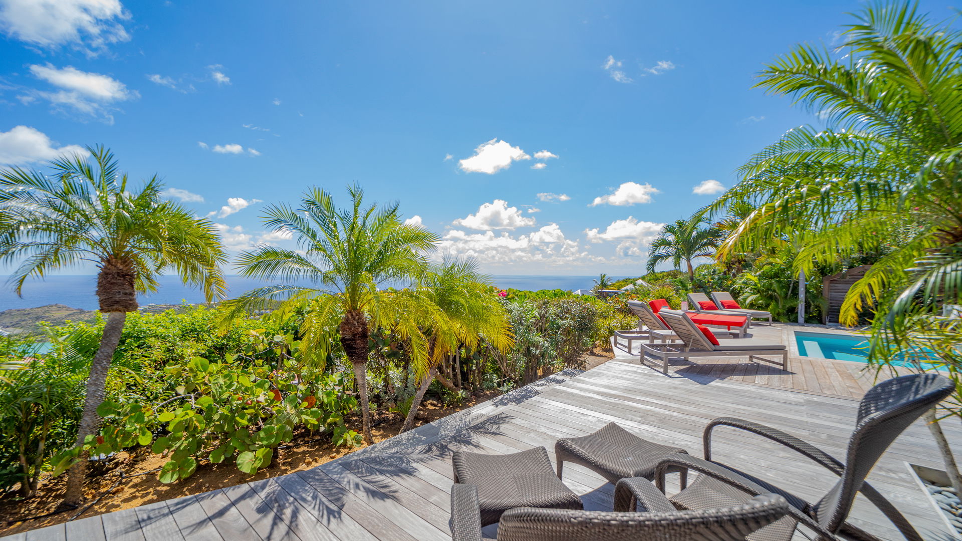 POOL & TERRACE