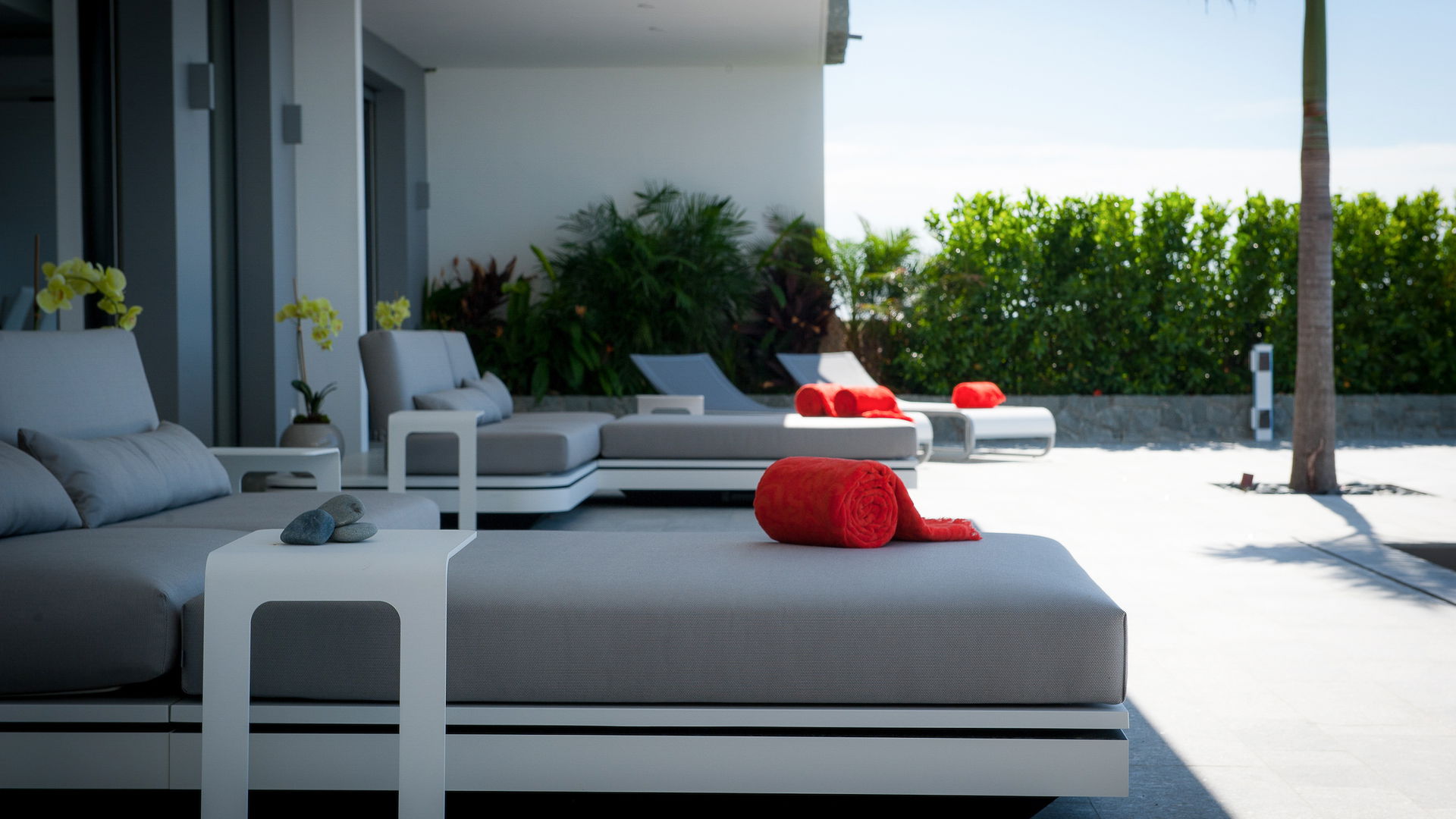 POOL & TERRACE