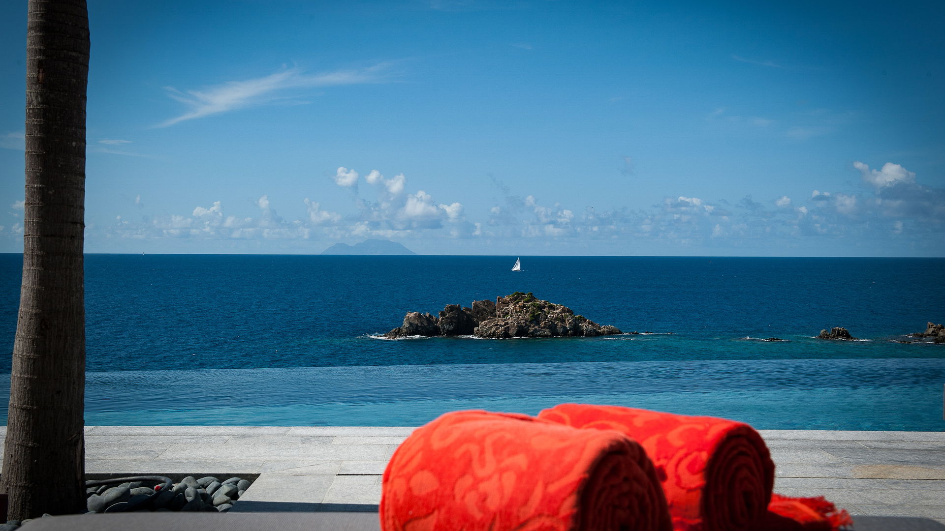 POOL & TERRACE
