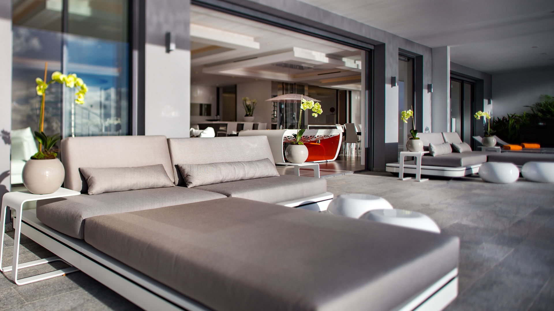 POOL & TERRACE