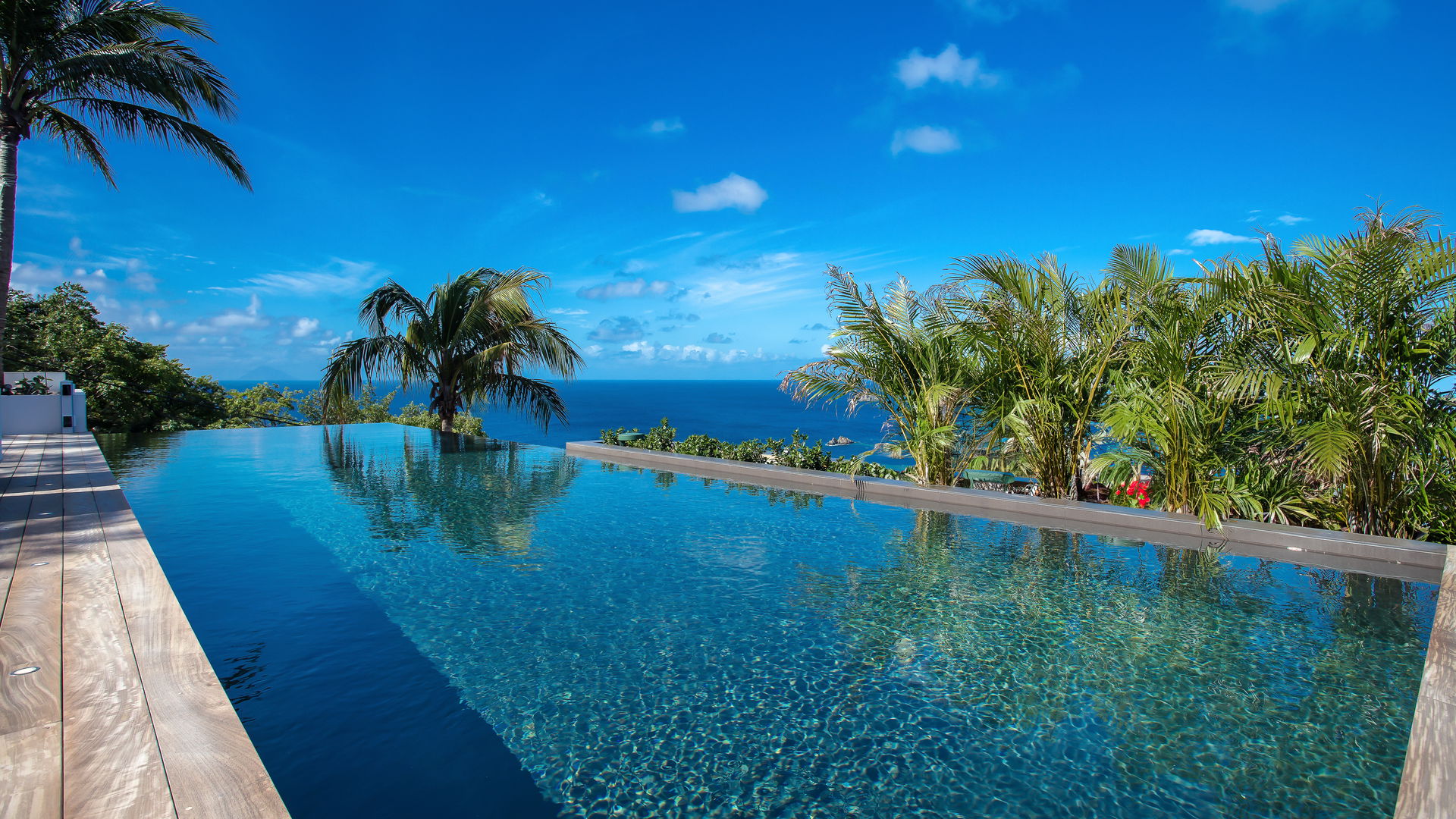 POOL & TERRACE