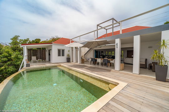 VILLA DASHA POOL & TERRACE 1