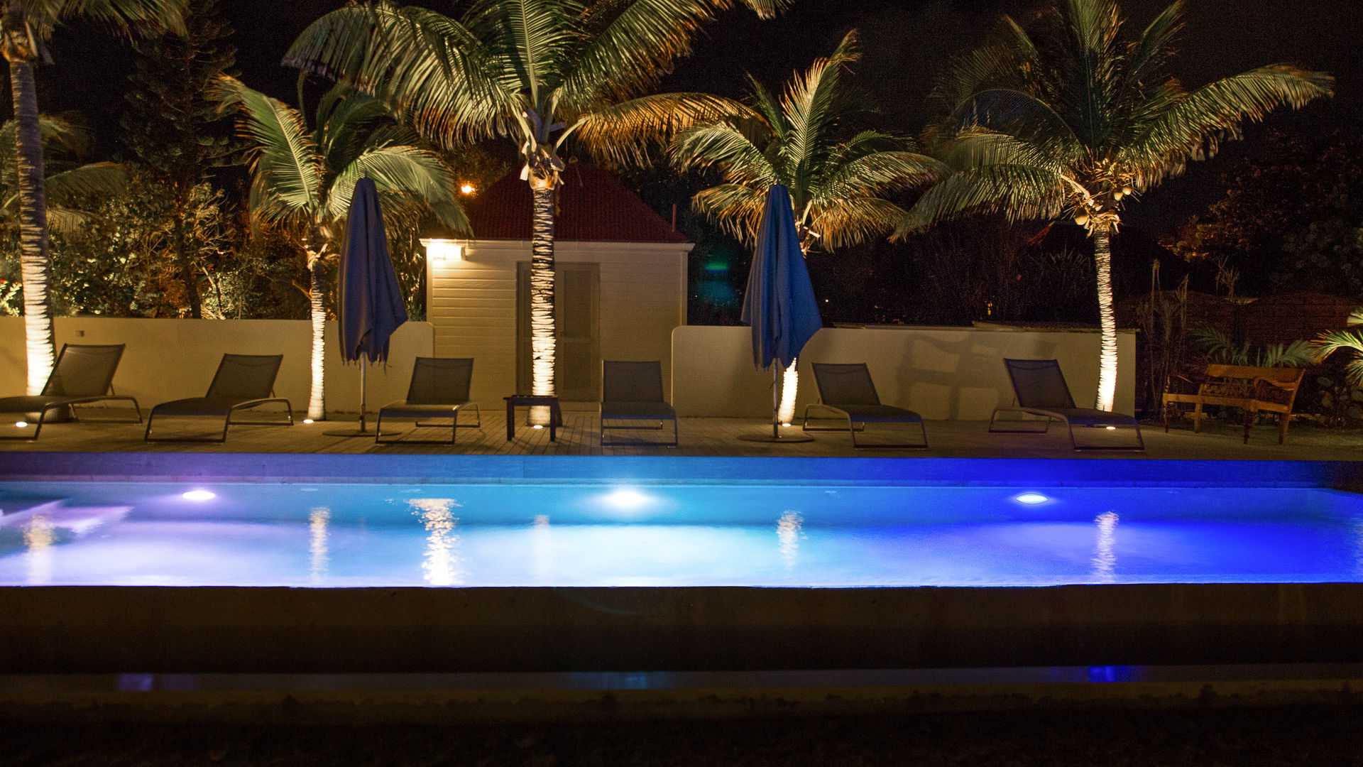 BY NIGHT