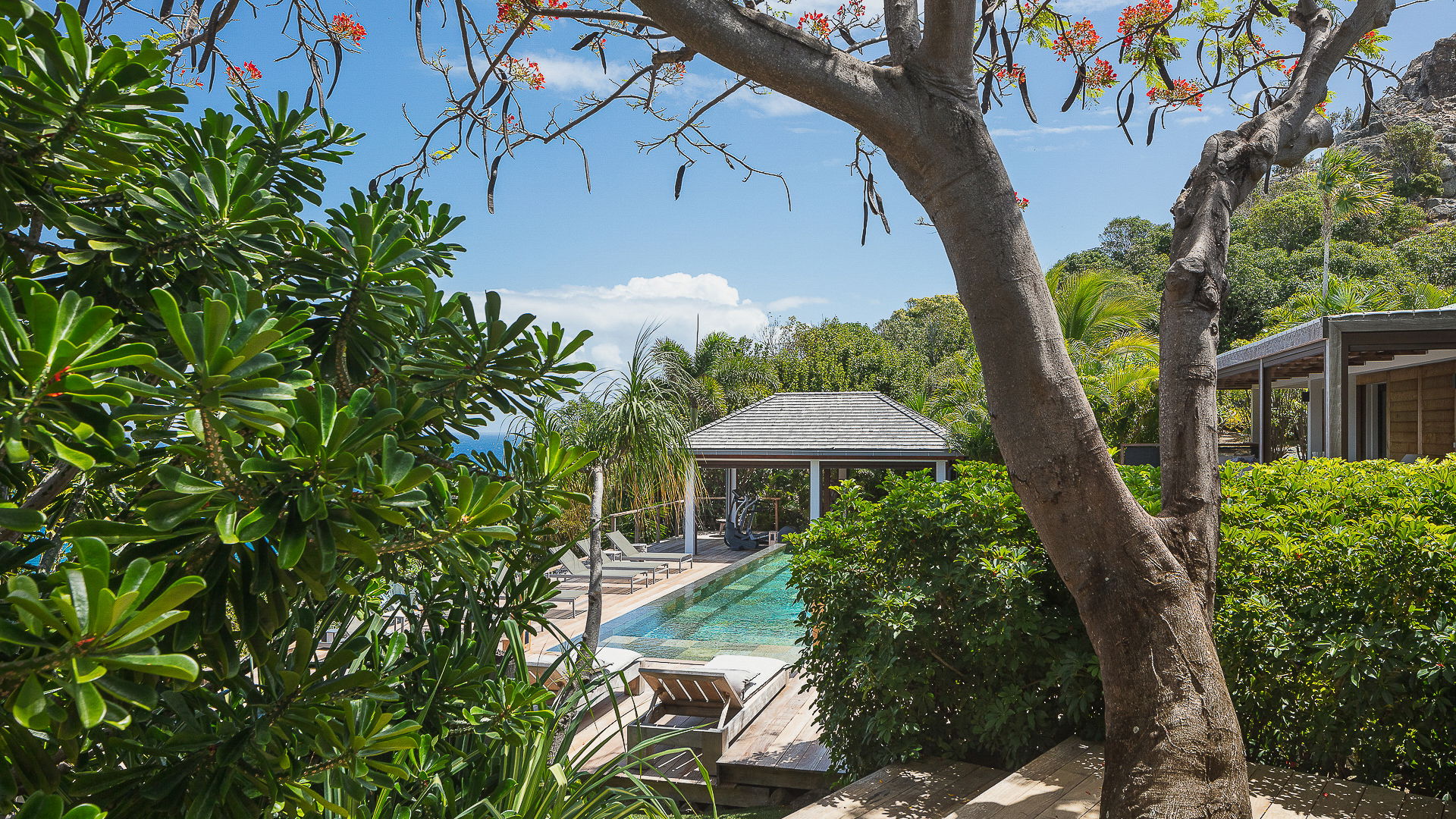 POOL & TERRACE