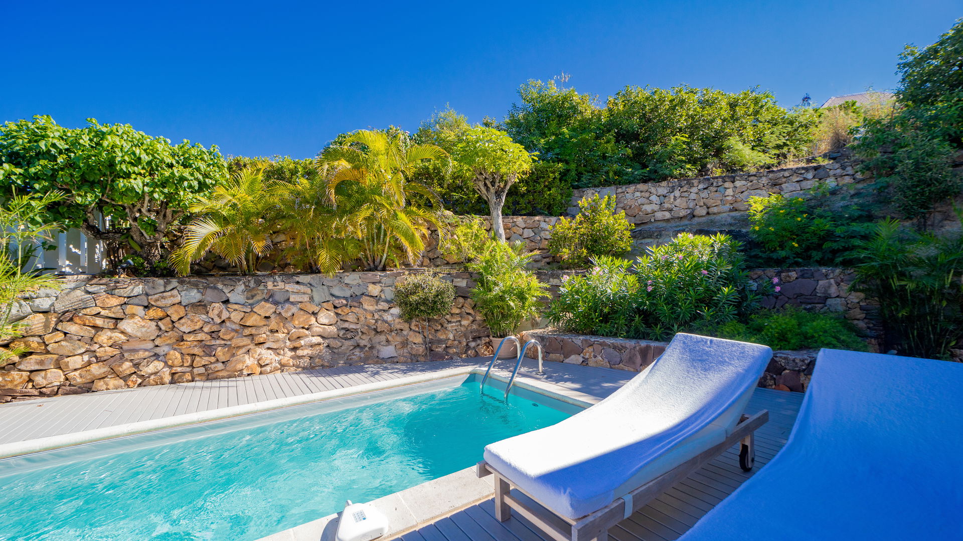POOL & TERRACE