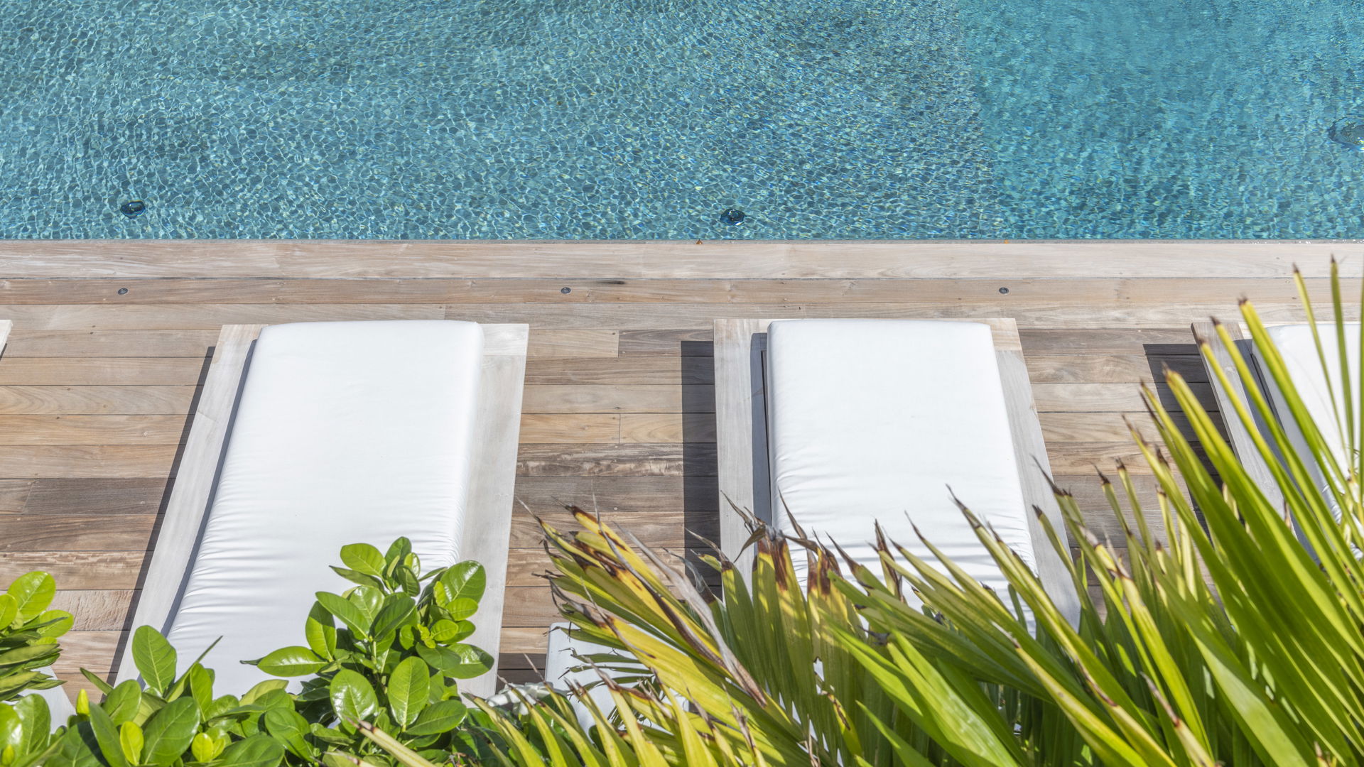 POOL & TERRACE