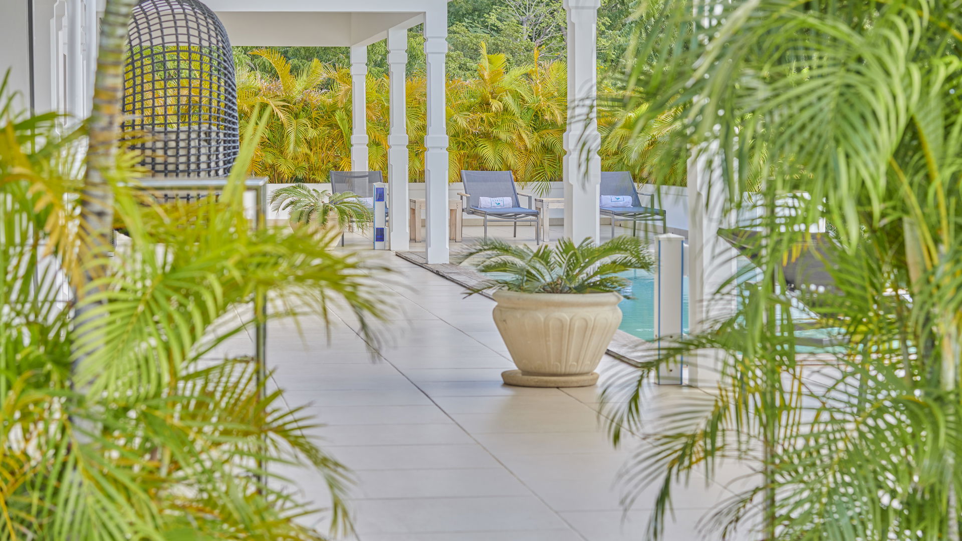 POOL & TERRACE