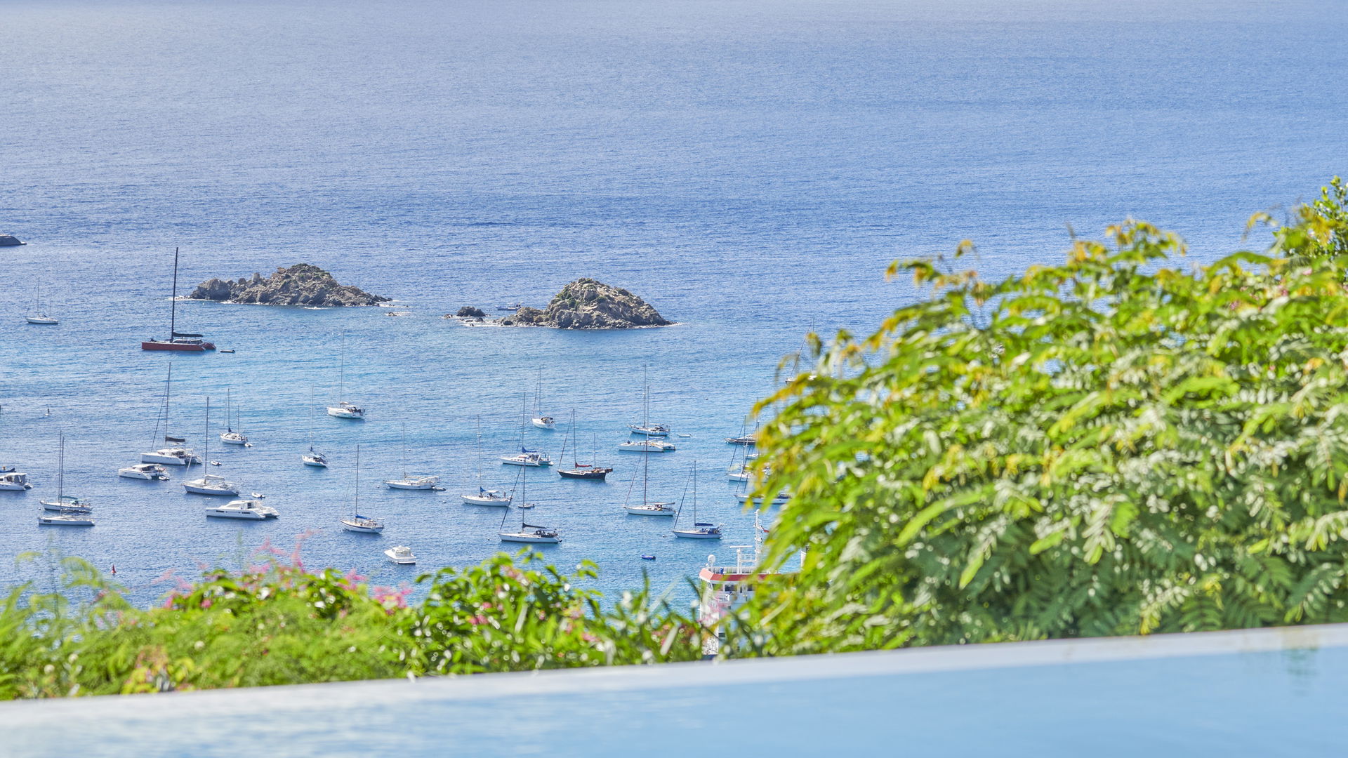 POOL & TERRACE
