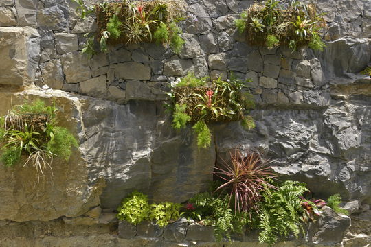 VILLA EDUNIA OUTDOORS 2