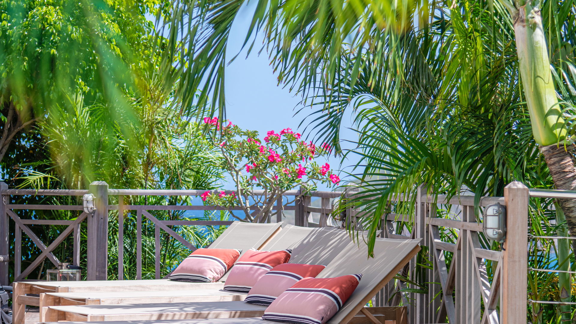 POOL & TERRACE