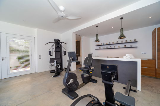 VILLA GINGER FITNESS & JACUZZI 3