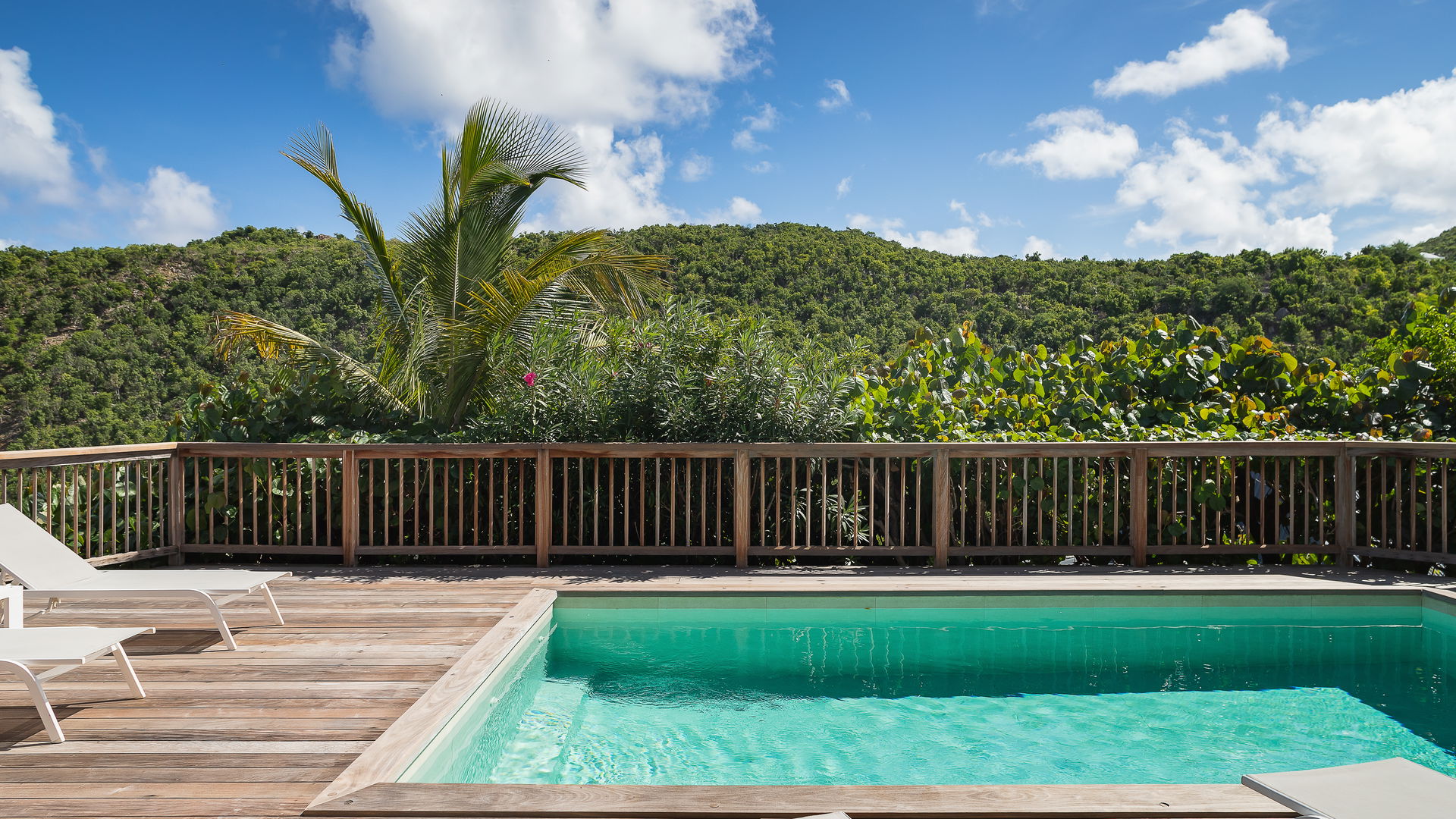 POOL & TERRACE