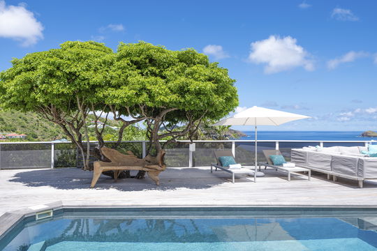 VILLA GAILLAC POOL & TERRACE 9