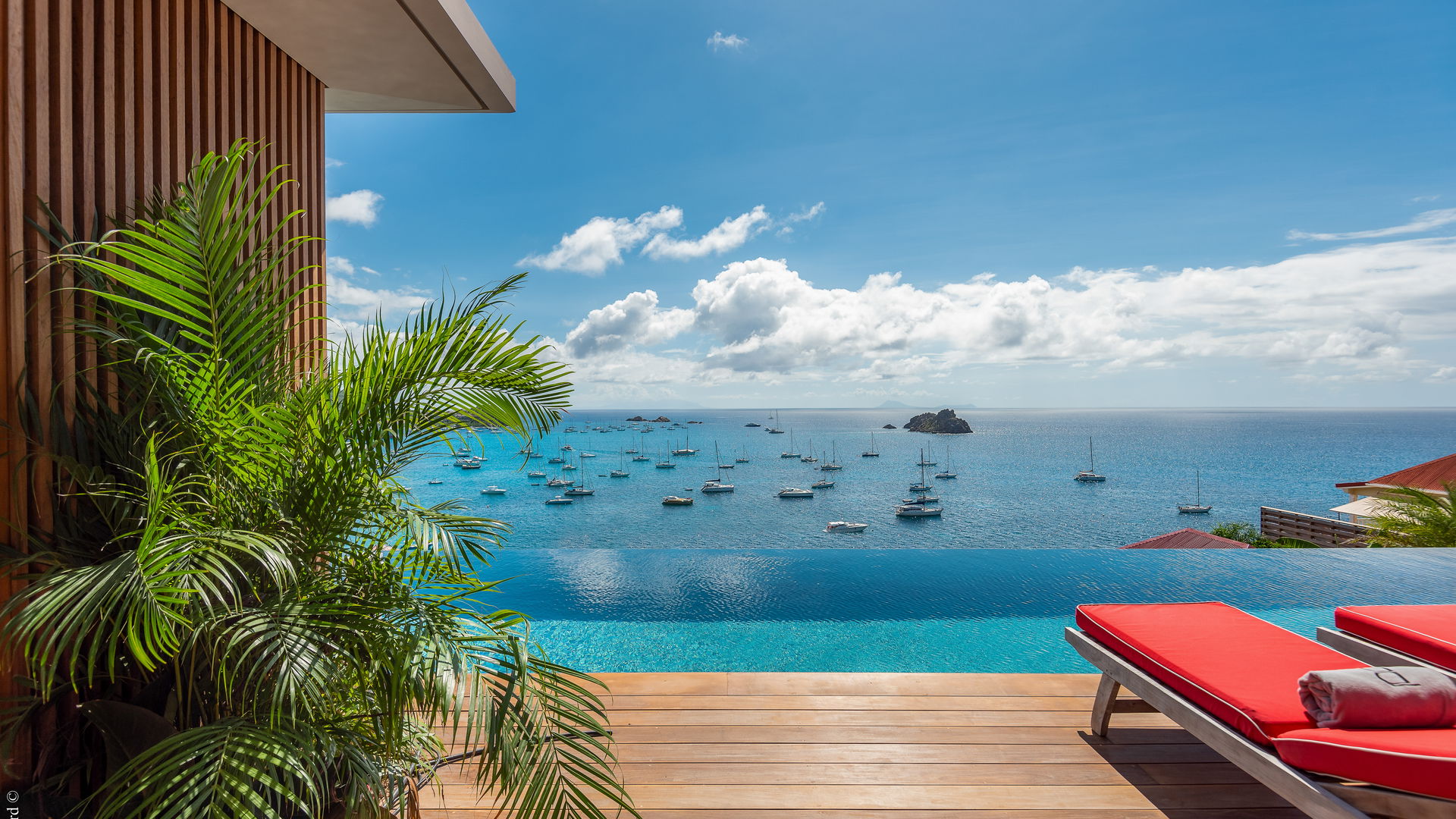 POOL & TERRACE