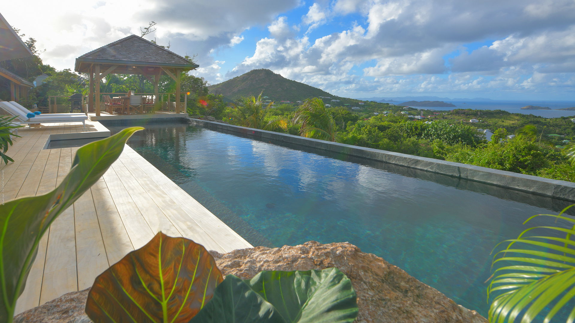 POOL & TERRACE