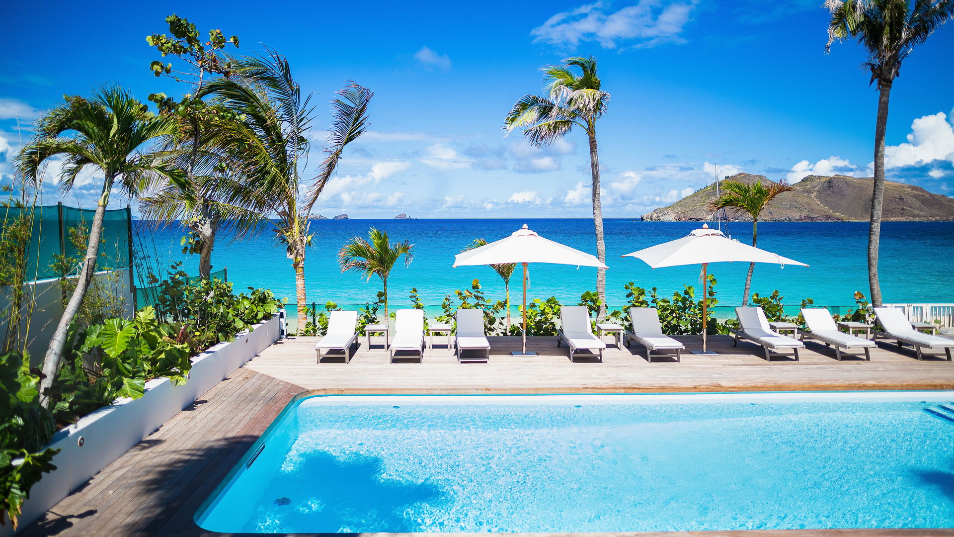 POOL & TERRACE