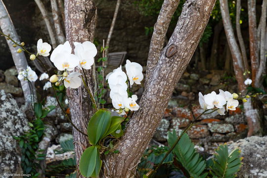 VILLA MARY OUTDOORS 8